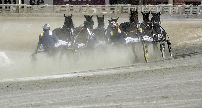 travlopp på Solvalla