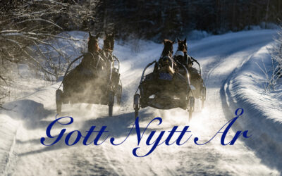 Gott nytt år!