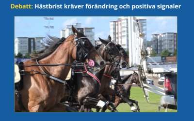 Hästbrist kräver förändring