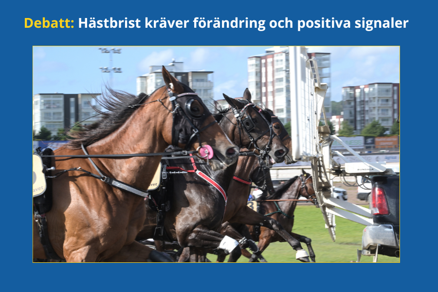 Hästbrist kräver förändring
